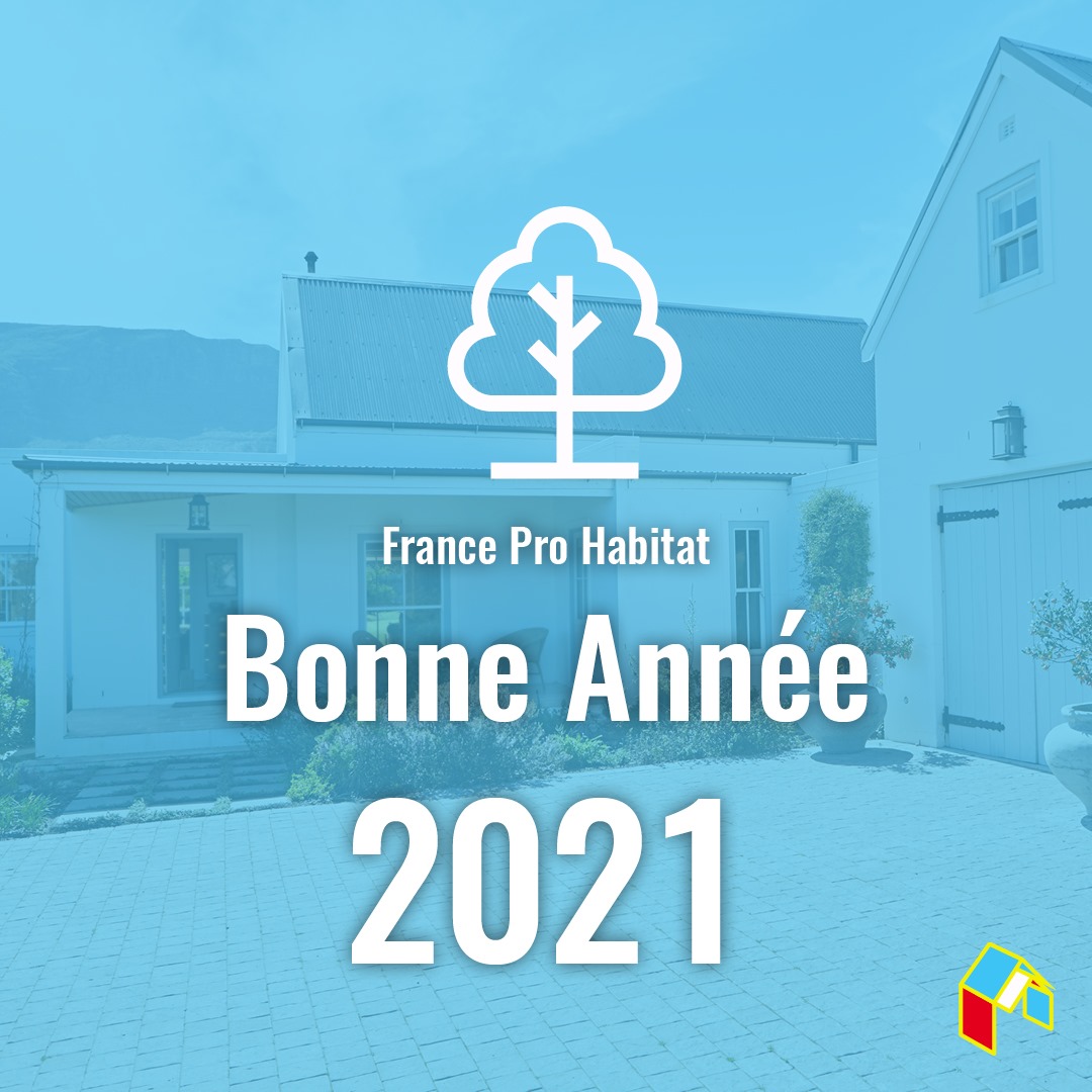 Read more about the article Voeux 2021